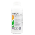 Ortus 05 SC