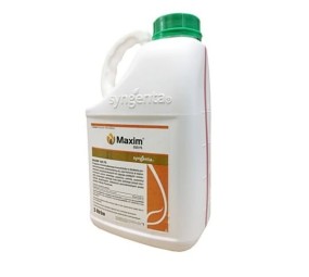 Maxim 025 FS
