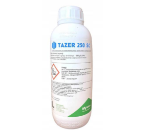 Tazer 250 EW
