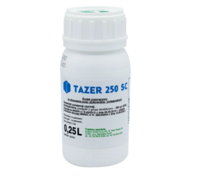 Tazer 250 EW