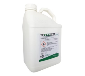 Tazer 250 EW