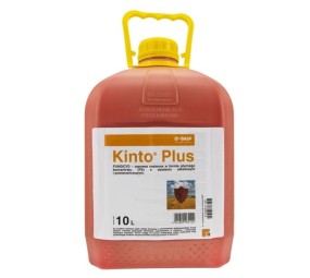 Kinto Plus