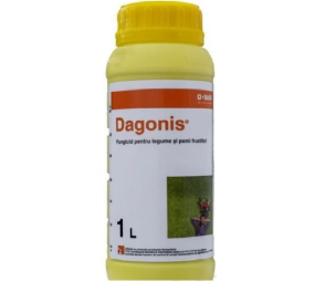 Dagonis