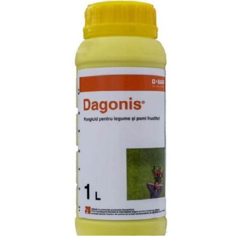 Dagonis
