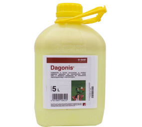 Dagonis