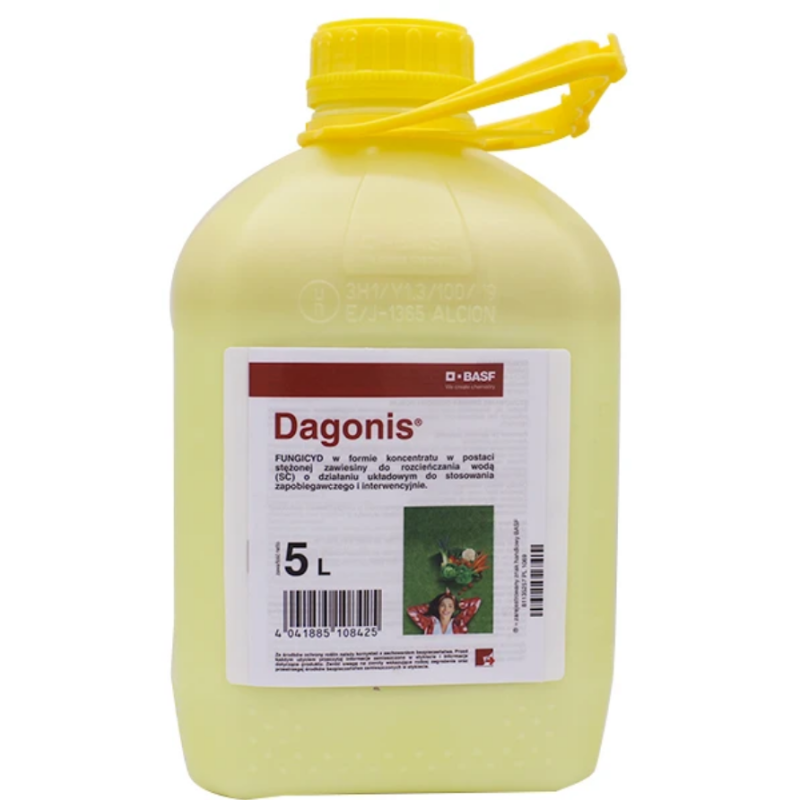 Dagonis