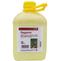Dagonis