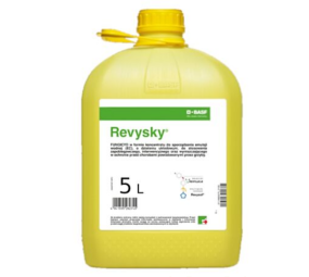 Revysky