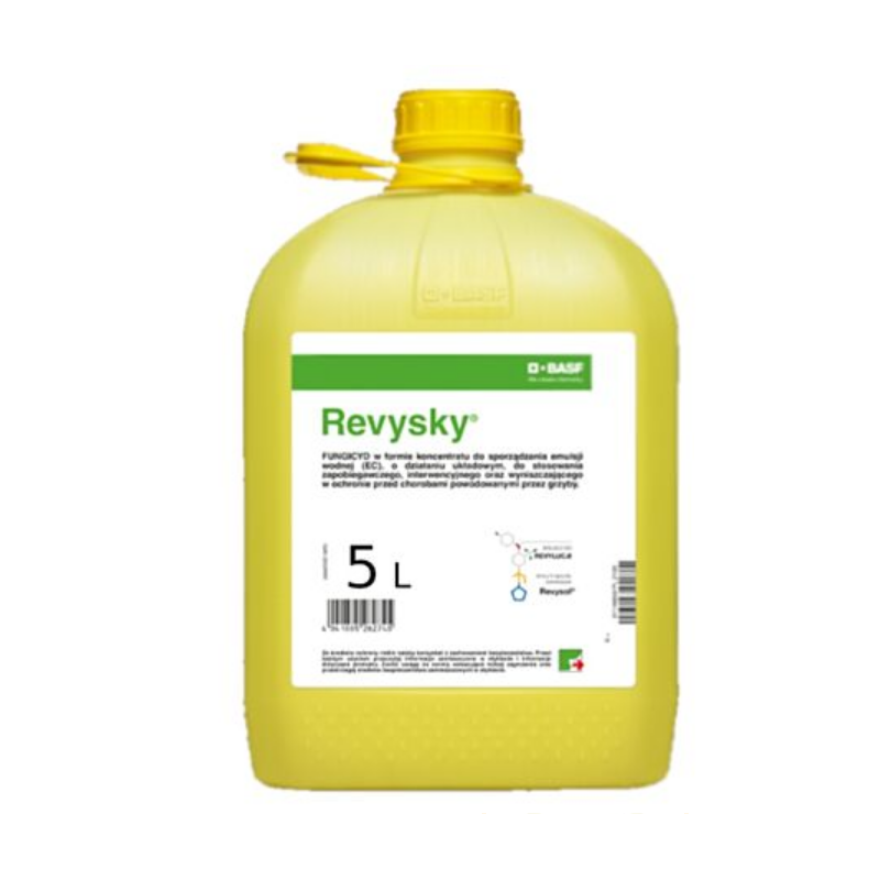 Revysky