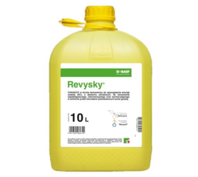 Revysky