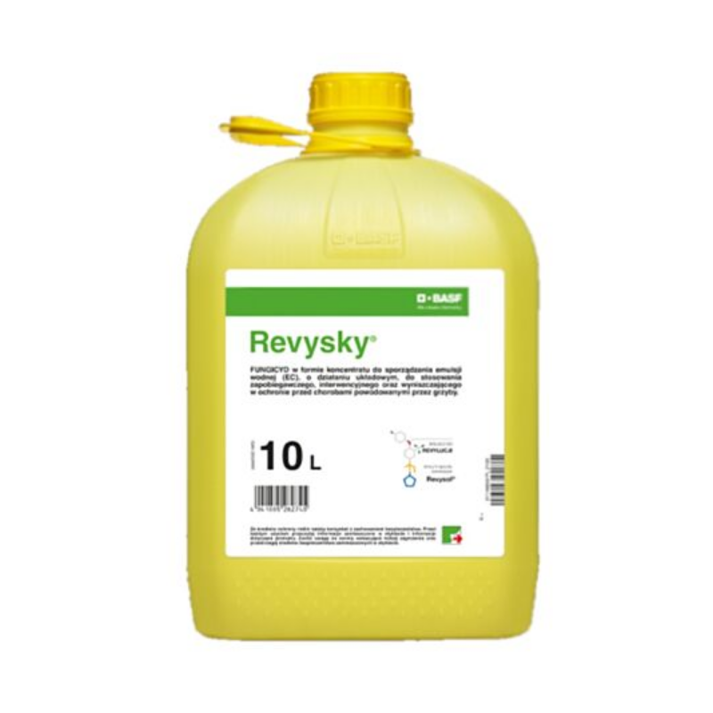 Revysky