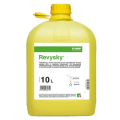 Revysky