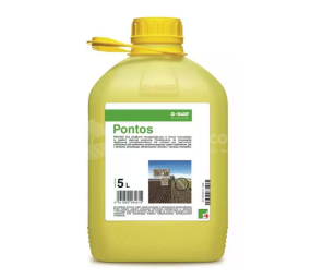 Pontos