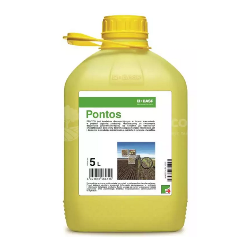 Pontos
