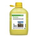 Pontos