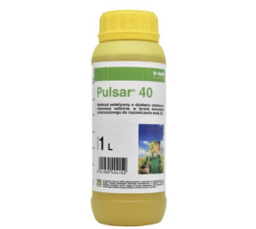 Pulsar 40