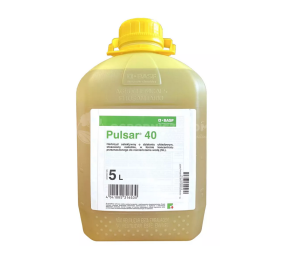 Pulsar 40