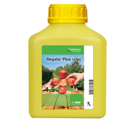 Regalis PLUS 10 WG