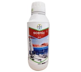 Scenic 080 FS