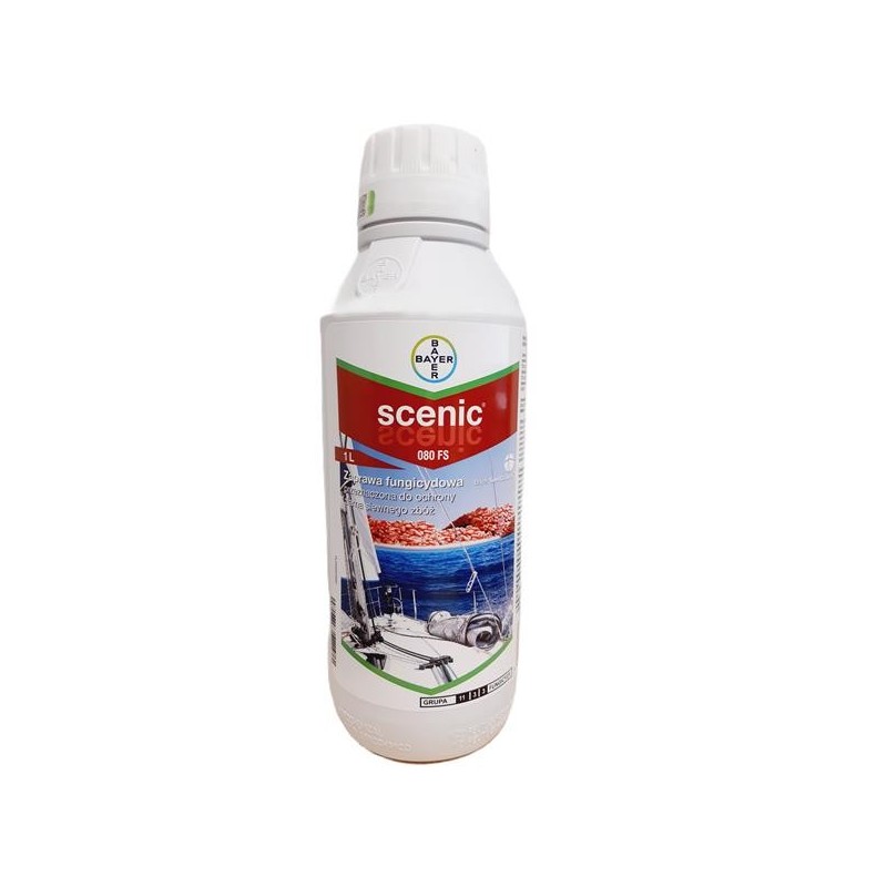 Scenic 080 FS