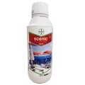 Scenic 080 FS