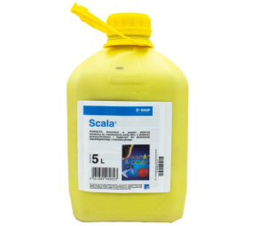 Scala
