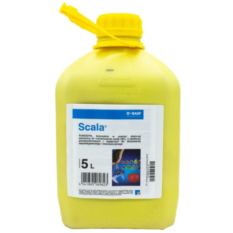 Scala