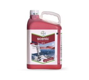 Scenic 080 FS