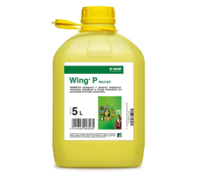 Wing P 462,5 EC