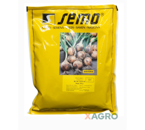 Cebula ozima Winteria Semo