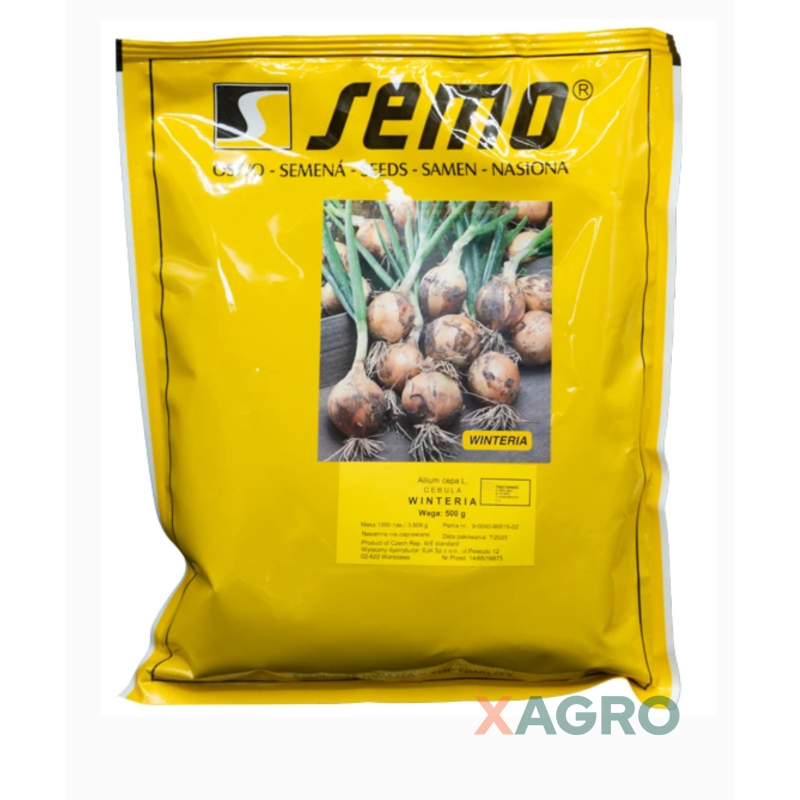 Cebula ozima Winteria Semo