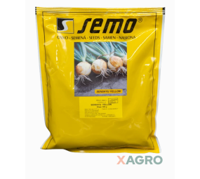 Cebula ozima Senshyu Yellow Semo