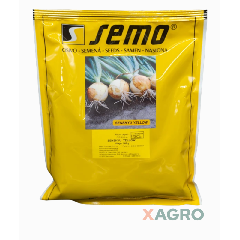 Cebula ozima Senshyu Yellow Semo