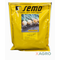 Cebula ozima Senshyu Yellow Semo
