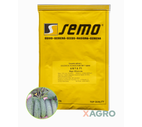 Ogórek konserwowy partenokarpiczny Anya F1 Semo