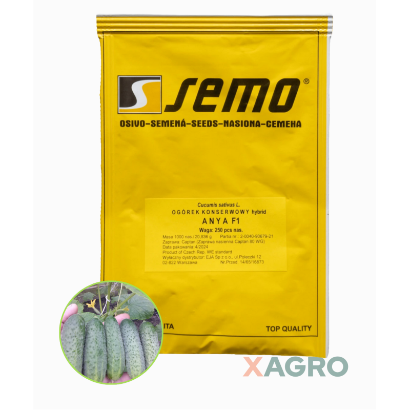 Ogórek konserwowy partenokarpiczny Anya F1 Semo