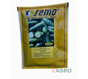 Ogórek konserwowy partenokarpiczny Dafne F1 Semo