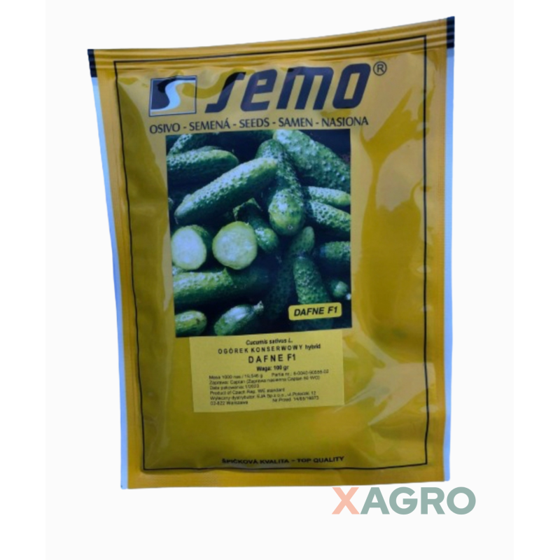 Ogórek konserwowy partenokarpiczny Dafne F1 Semo
