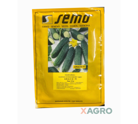 Ogórek konserwowy partenokarpiczny Gracie F1 Semo