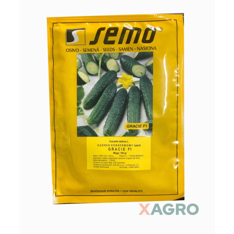 Ogórek konserwowy partenokarpiczny Gracie F1 Semo