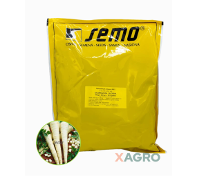 Pietruszka korzeniowa Olomoucka Dlouha Semo