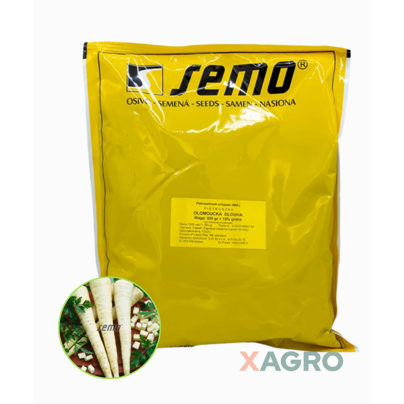Pietruszka korzeniowa Olomoucka Dlouha Semo