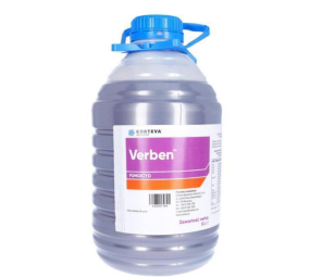 Verben