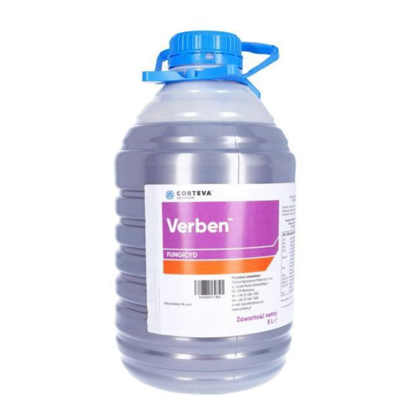 Verben