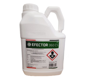 Efector 360 CS