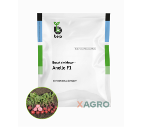 Burak ćwikłowy Anello F1 Bejo