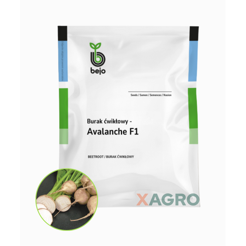 Burak ćwikłowy Avalanche F1 Bejo