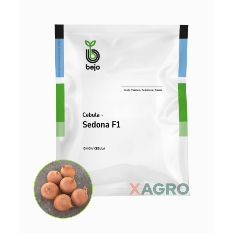 Cebula Sedona F1 Bejo
