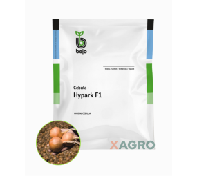 Cebula Hypark F1 Bejo