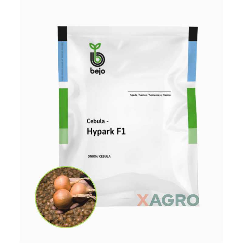 Cebula Hypark F1 Bejo